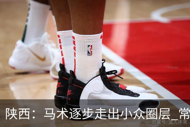 陕西：马术逐步走出小众圈层 常年参训人数达数千人